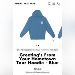 Jonas Brothers Blue Hoodie